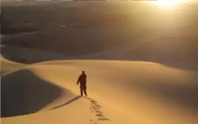 مجددا.. رفض إخلاء سبيل قاتل زوجته