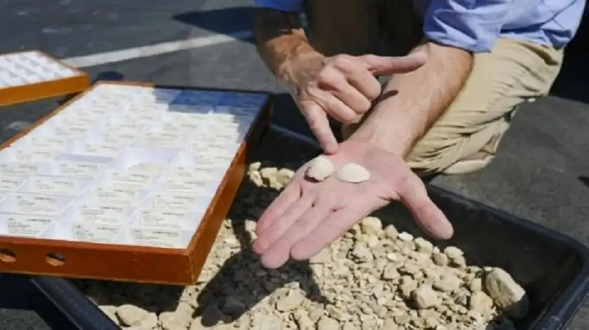 اكتشاف آثار عمرها 9 ملايين مستقرة