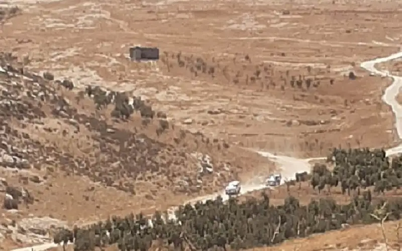 مستوطنون يسرقون 17 رأسا من الأغنام