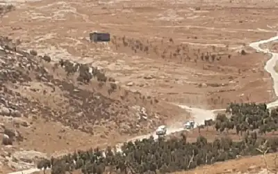 مستوطنون يسرقون 17 رأسا من الأغنام