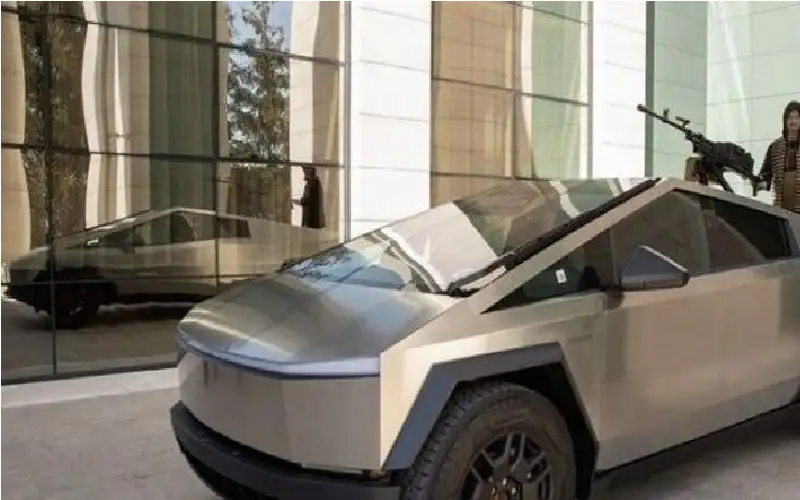 الوحش السيبراني خارج الخدمة.. وقديروف منزعج