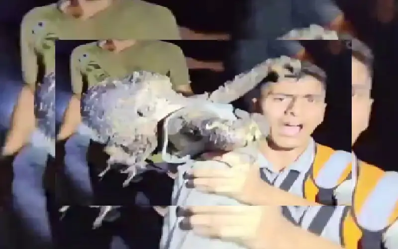 ماذا عن هذه الطفلة؟