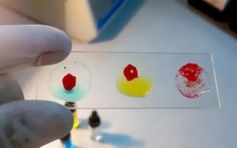 بعد 50 عاما .. علماء يكتشفون