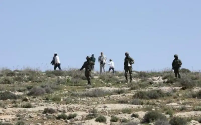 مستوطنون يهاجمون فلسطينيين ويرشقونهم بالحجارة بالبلدة