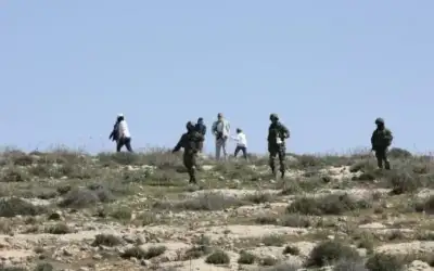مستوطنون يهاجمون فلسطينيين ويرشقونهم بالحجارة بالبلدة