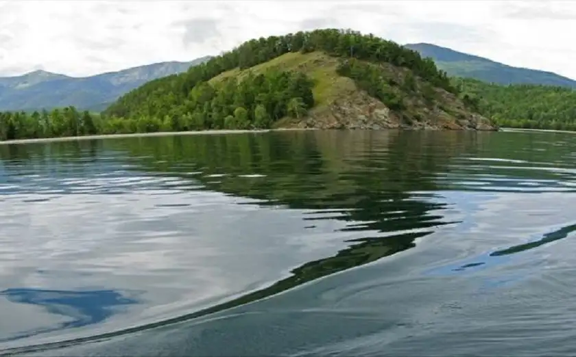 بكتيريا تتوهج في المياه بحثا عن