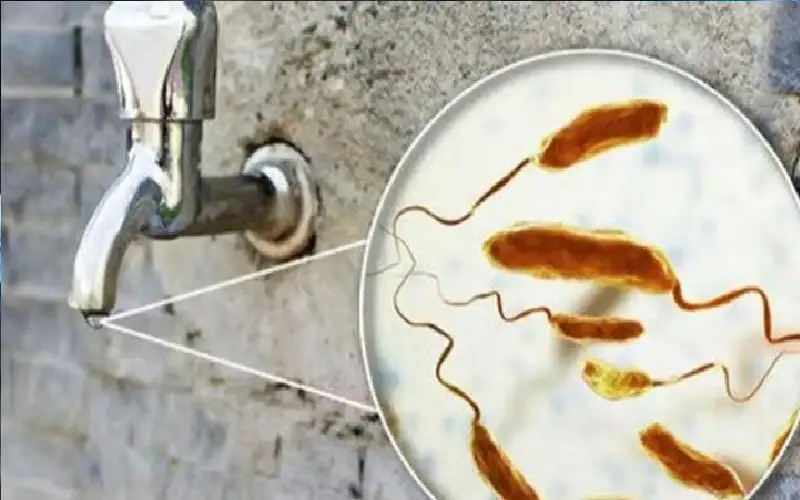 كيف تدعم التغيرات المناخية انتشار الكوليرا؟