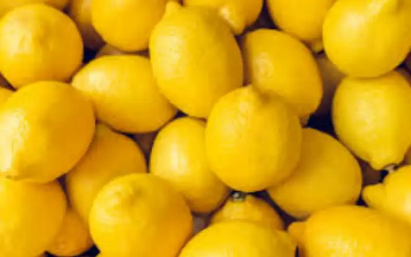 الحنيفات: التزمنا باستيراد الليمون لتغطية الاحتياجات