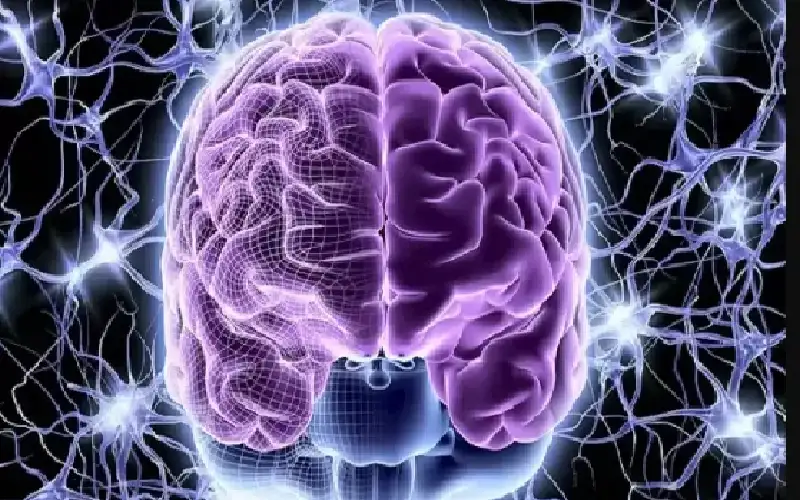 لماذا يتخذ الدماغ أفضل القرارات بعد