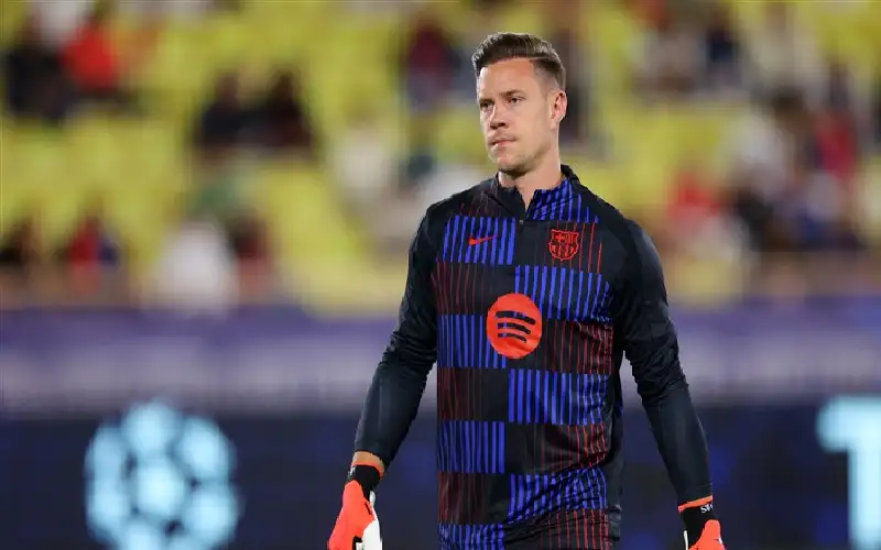 رسالة تير شتيغن إلى جمهوره