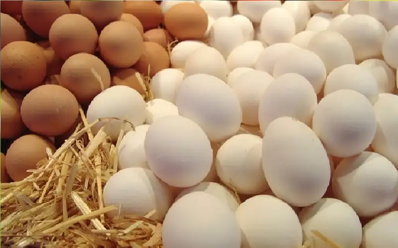 تناول 720 بيضة في شهر واحد..