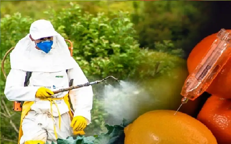 علماء: حتى جرعة بسيطة من المبيدات