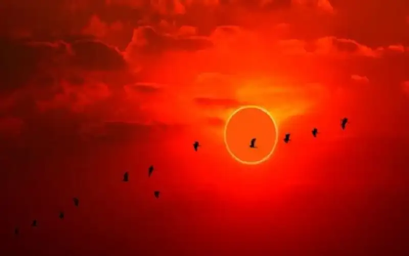 حلقة نار درامية.. الشمس على موعد