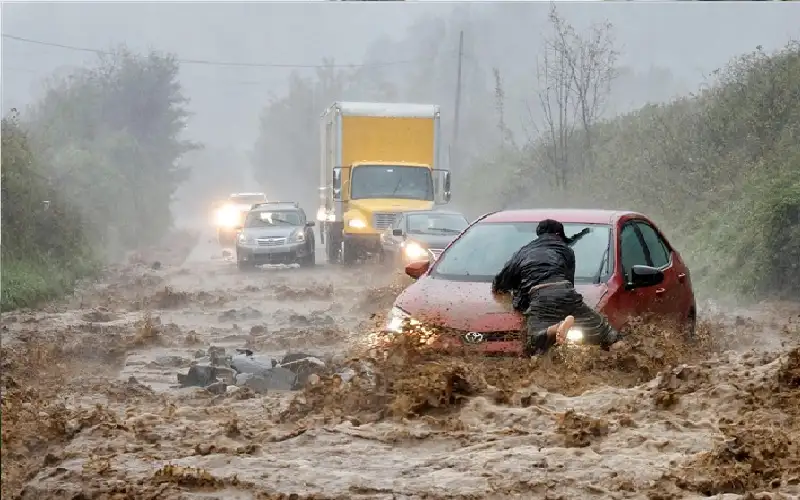 أمريكا.. 40 قتيلا على الأقل بسبب