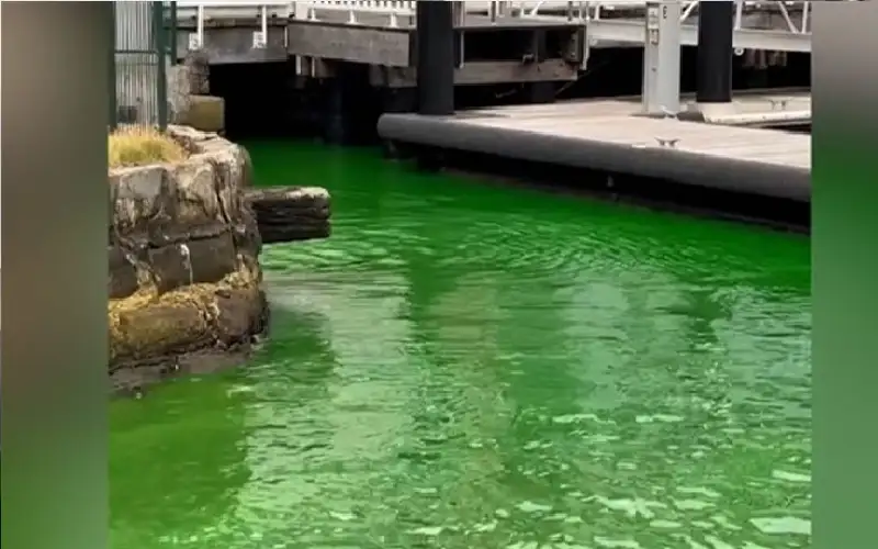 ذعر في سيدني بعد تحول مياه