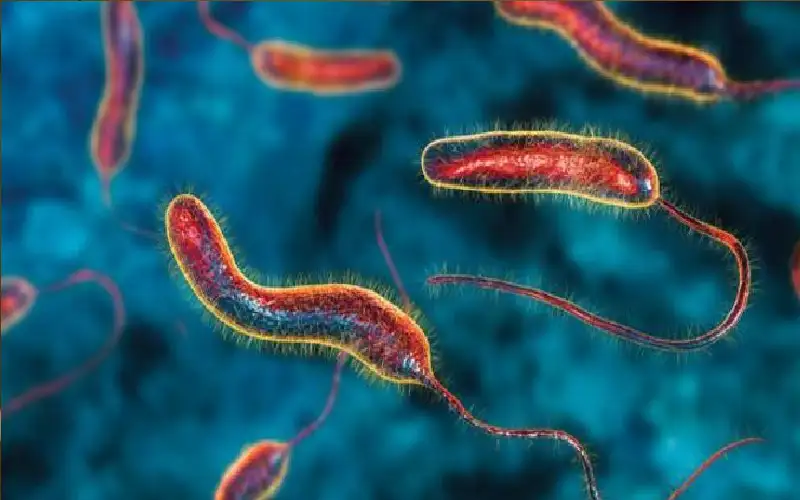 كبير أطباء إنجلترا يحذر من جائحة