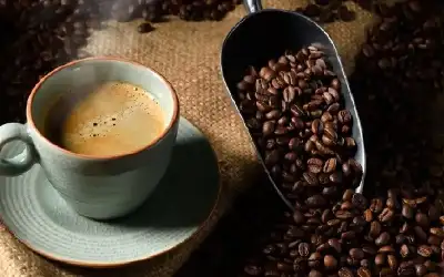 أشهر الخرافات عن الحبة السمراء