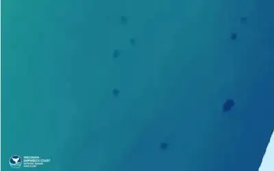 لغز جديد.. اكتشاف حفر غامضة في