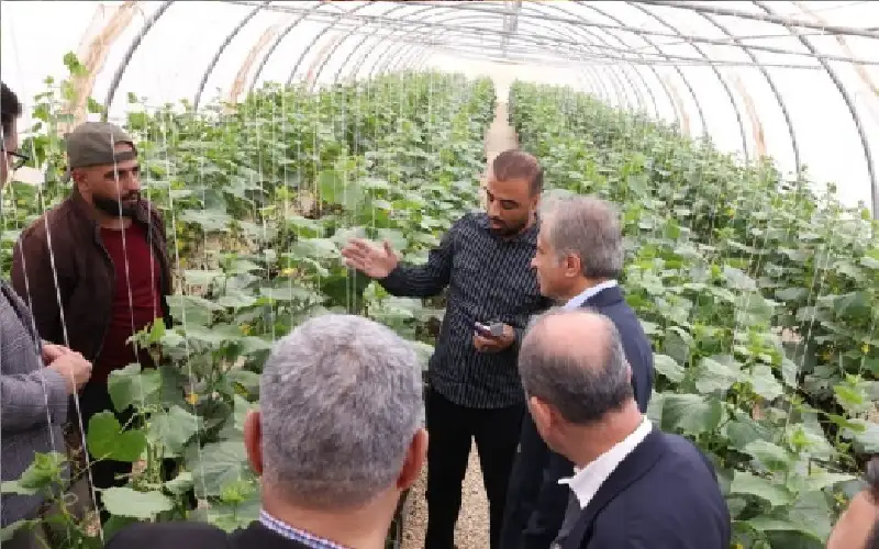 رئيس الوزراء في جولة ميدانية بمحافظة