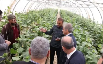 رئيس الوزراء في جولة ميدانية بمحافظة