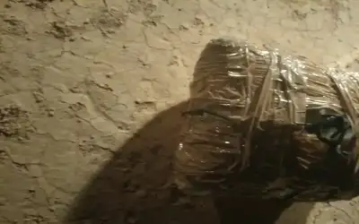 المنطقة العسكرية الجنوبية تحبط محاولة تهريب