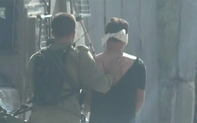 الاحتلال يعتقل أكثر من 20 مواطنا