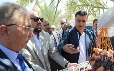 الحنيفات: القطاع الزراعي وفر 800 مليون