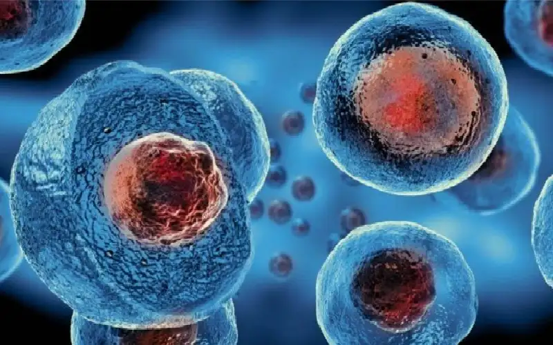 كيف تموت مليارات الخلايا الحية داخل