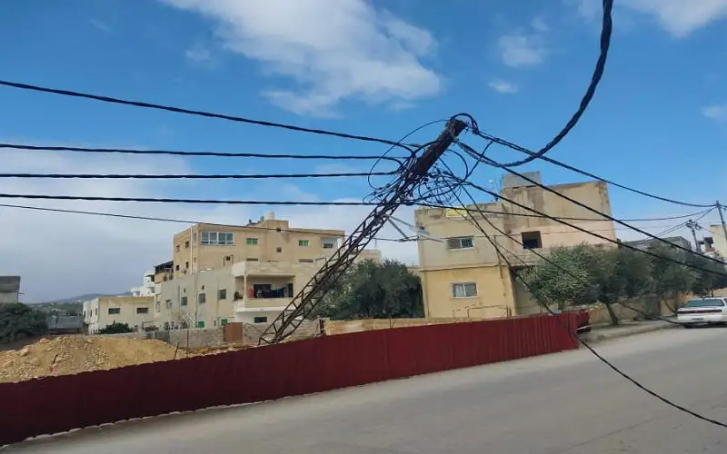 الزراعة تدعو للإبلاغ عن تداخل الأشجار