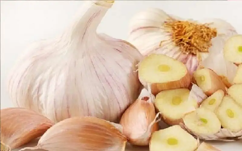 هل يفيد تناول الثوم في موسم