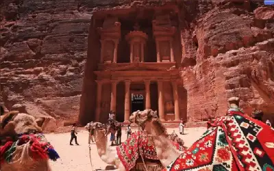 سلطة البترا تعمل على إنتاج محتوى