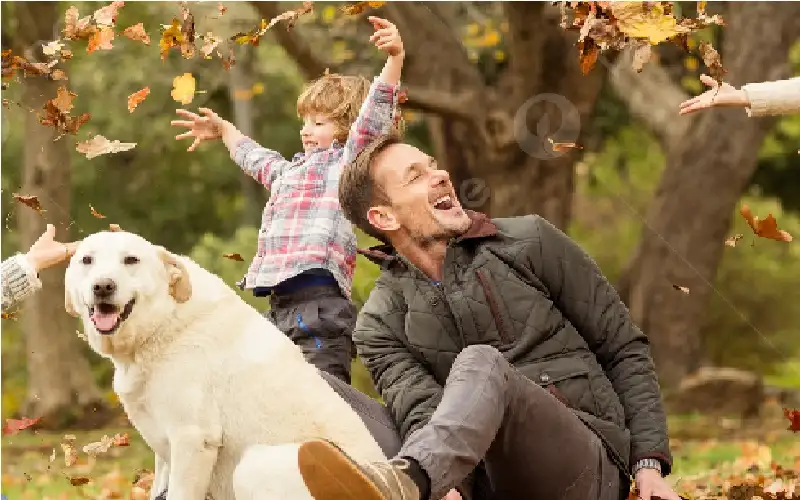 من يحاكم الكلاب على الاتجار بالبشر؟