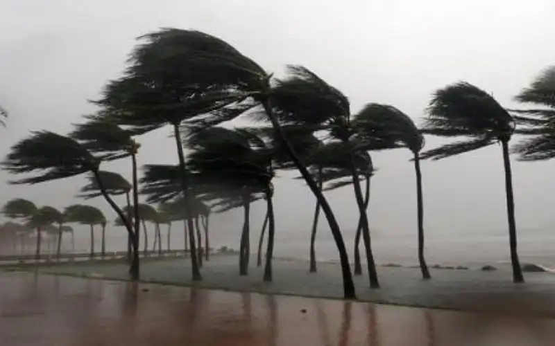 ولاية فلوريدا تشهد أكبر عملية إجلاء