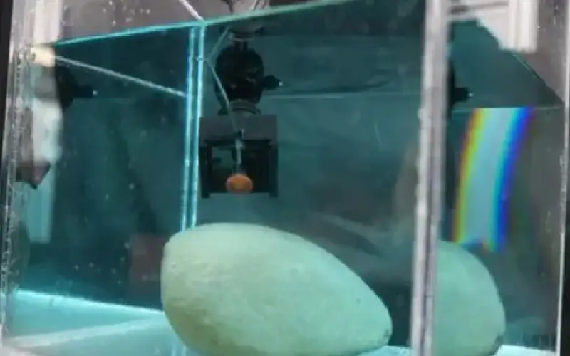 مادة مستوحاة من الأخطبوط تنجح في