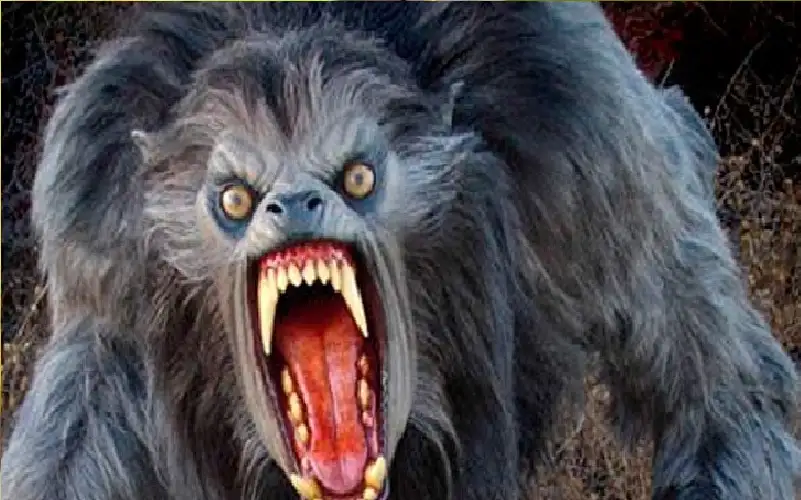 تقرير دولي يكشف رقما صادما للفتيات