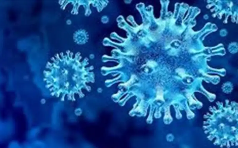 دراسة جديدة مقلقة عن كورونا ..