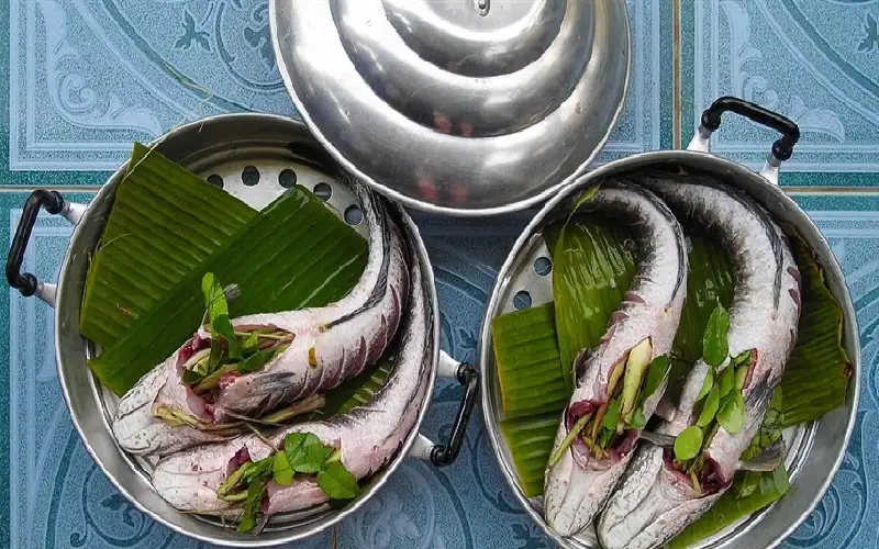 الأسماك.. الحل الطبيعي للوقاية من طنين