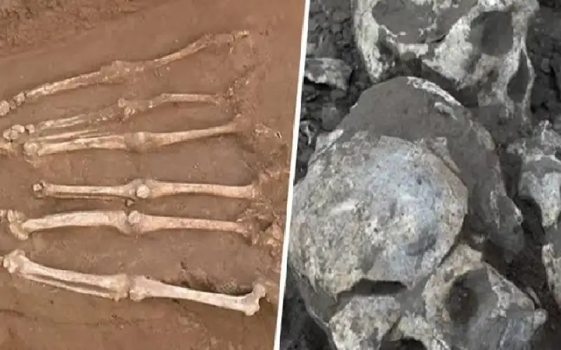 العثور على جماجم وعظام بشرية مجهولة..