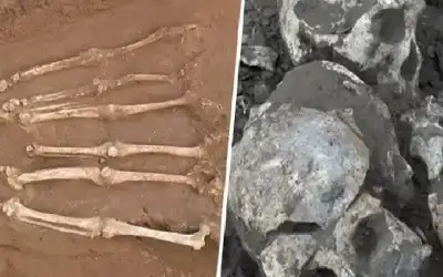 العثور على جماجم وعظام بشرية مجهولة..