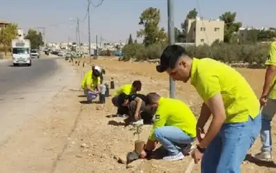 خطوات خضراء مبادرة لزراعة الأشجار في