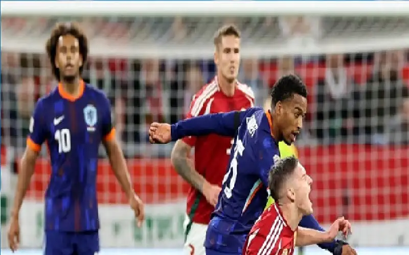 هولندا تفلت من الخسارة أمام المجر