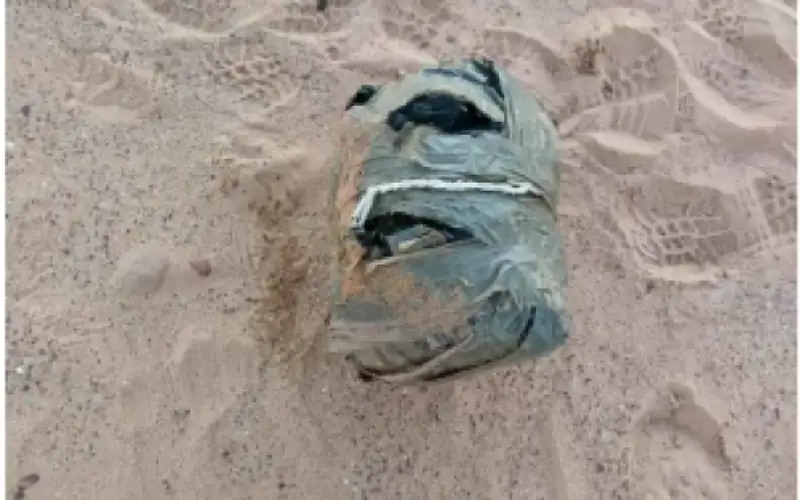 المنطقة العسكرية الجنوبية تحبط محاولة تهريب