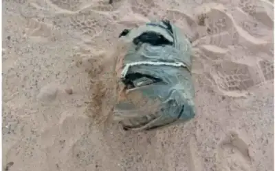 المنطقة العسكرية الجنوبية تحبط محاولة تهريب
