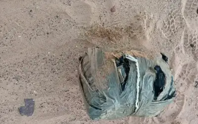 المنطقة العسكرية الجنوبية تحبط محاولة تهريب
