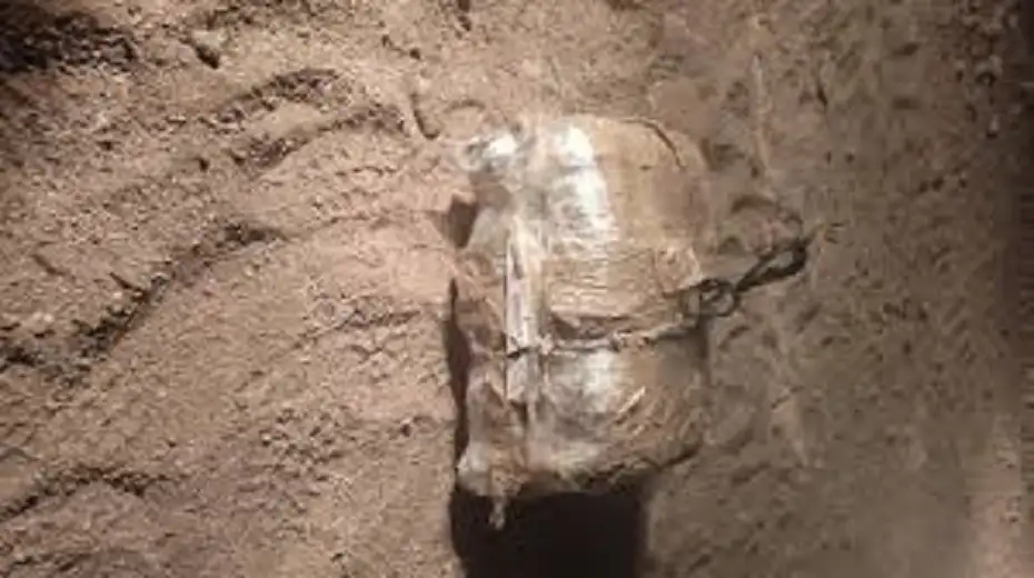 المنطقة العسكرية الجنوبية تحبط محاولة تهريب