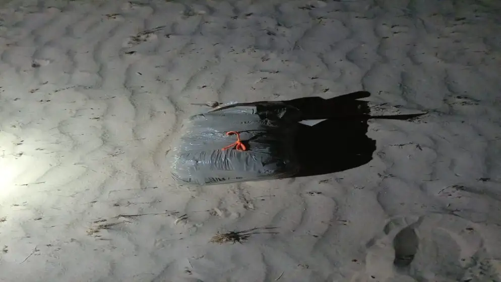 القوات المسلحة تحبط محاولة تهريب مخدرات