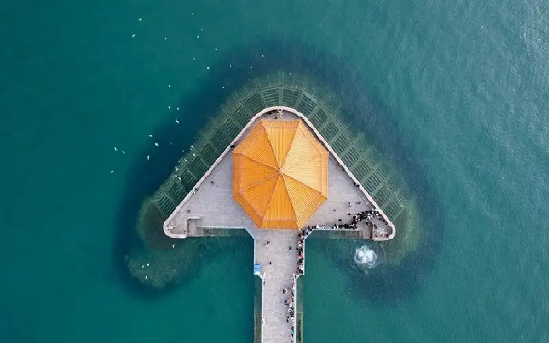 هل ننجح في تدشين مساكن عائمة؟