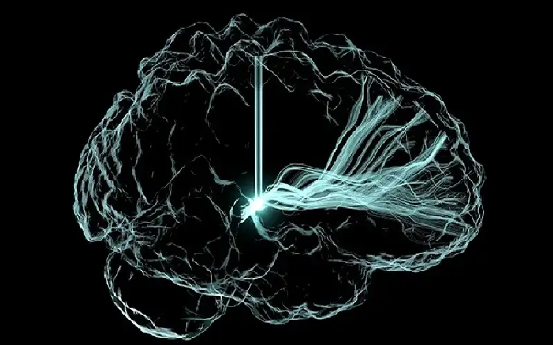 تطوير غرسات دماغية تعالج الاكتئاب والألم