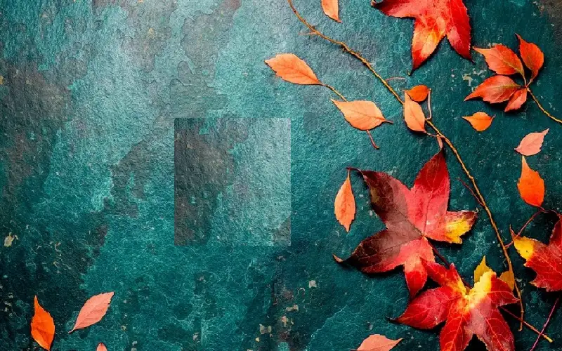 ما هي نظرية أكتوبر التي تساعد