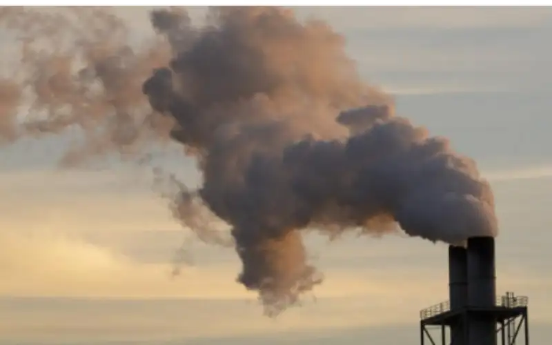 300 ألف حالة وفاة سنويا بسبب